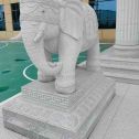 云浮 白麻花岗岩动物异形石雕-大象