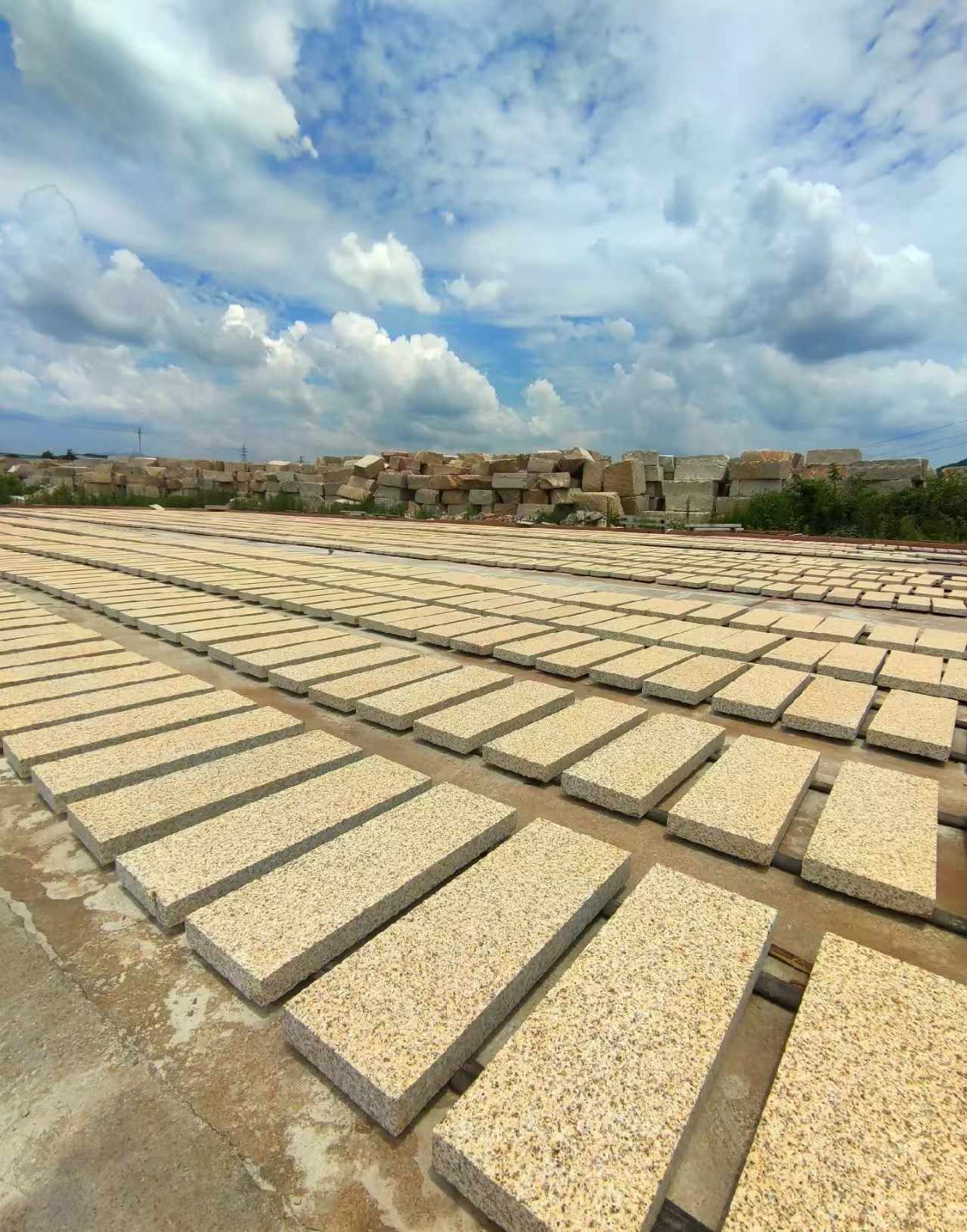 云浮 黄金麻荔枝面花岗岩石材地铺石防护中