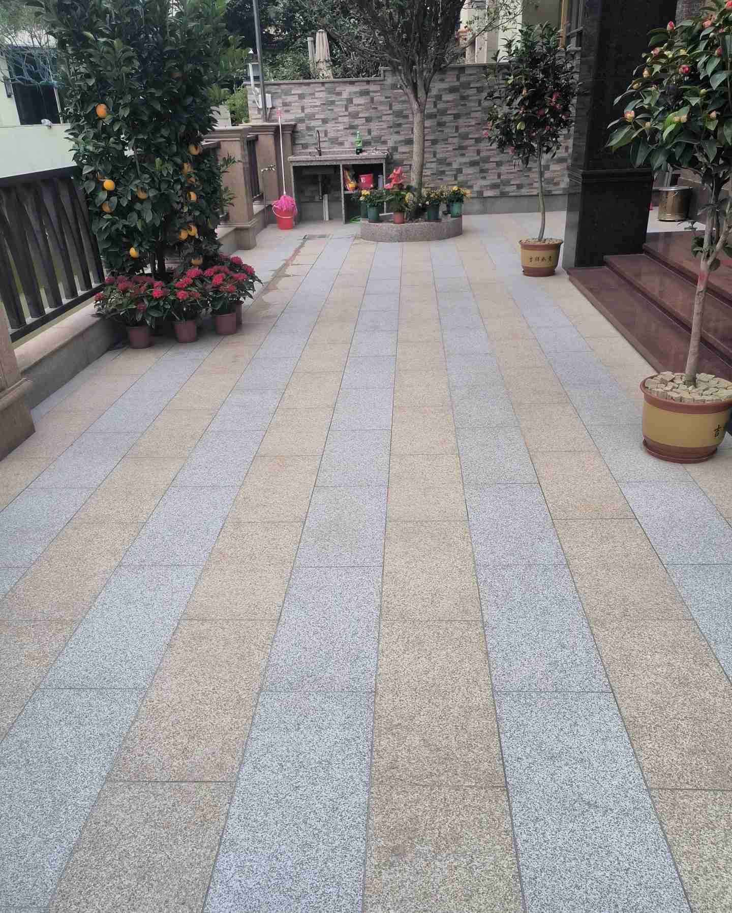 云浮 黄金麻白麻荔枝面庭院铺装展示