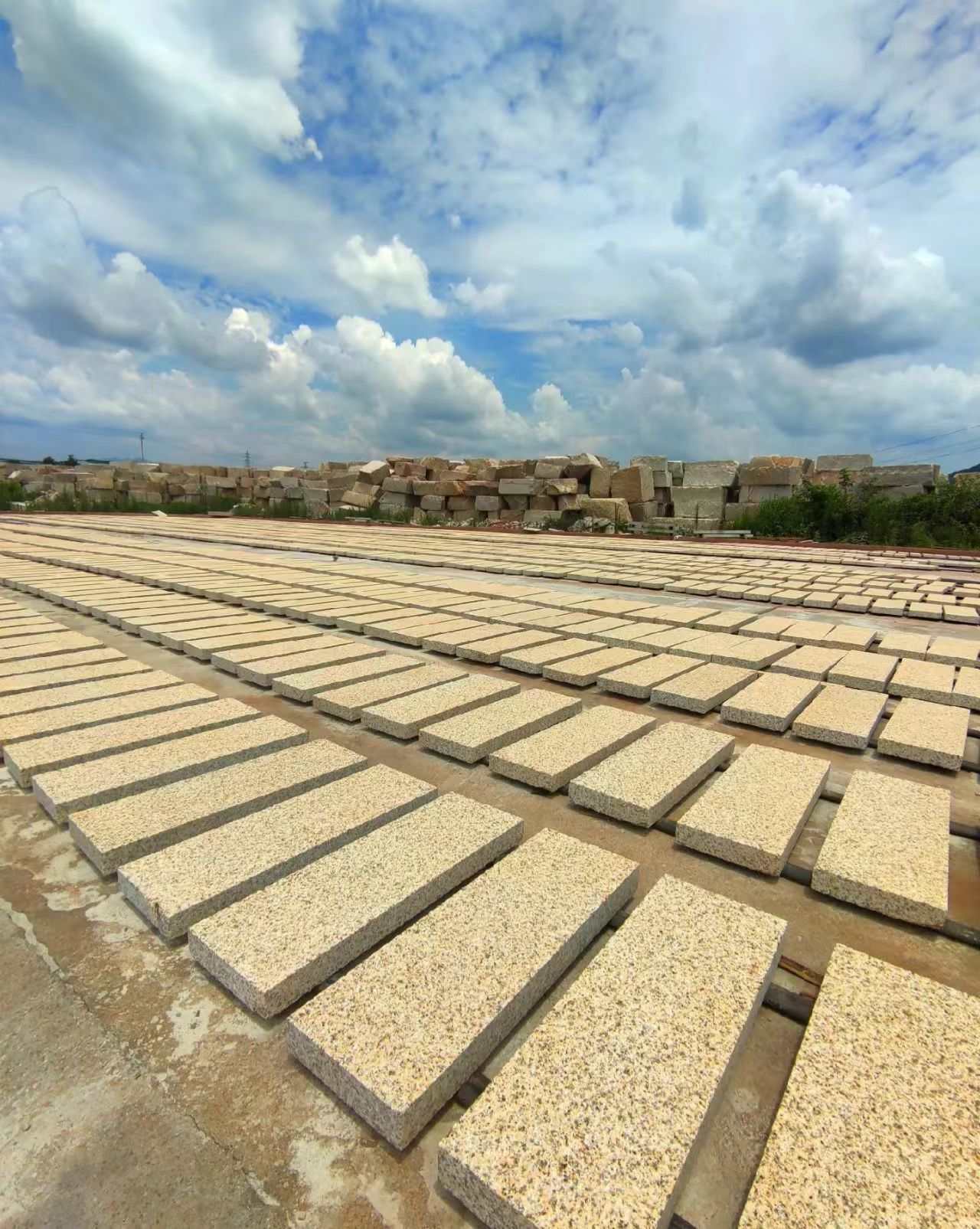 云浮 黄金麻花岗岩荔枝面地铺石防护中